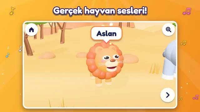 Safaride kükreyen aslan